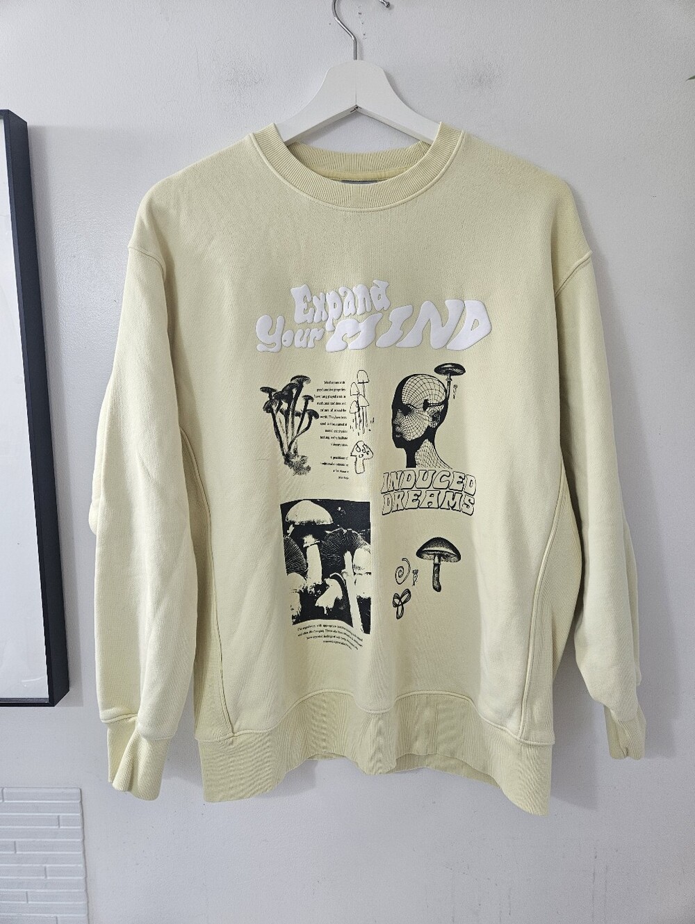 aritzia x Tna expand your mind sweatshirt